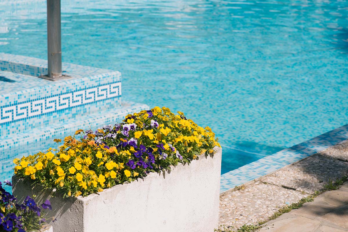 Piscina esterna 4 – Hotel Terme Bologna